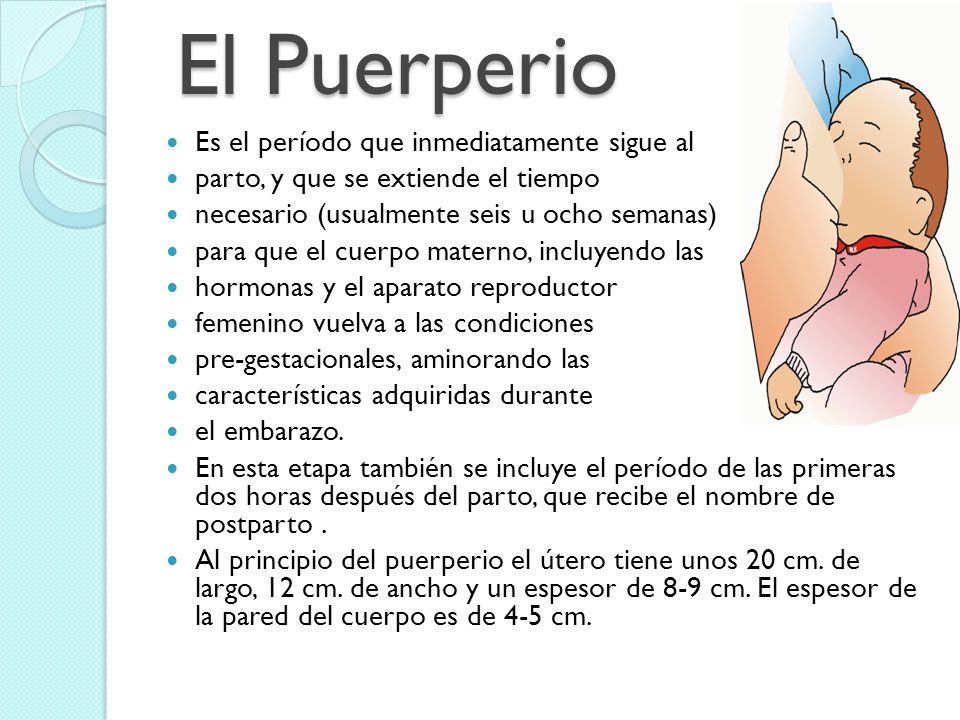 El puerperio ppt alimentacion en